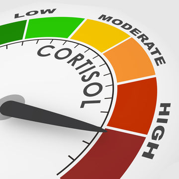 Testosterone’s Nemesis Cortisol: Optimizing the T:C Ratio